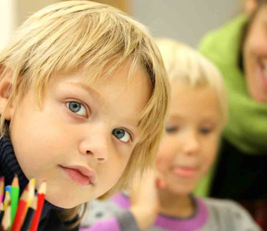 Functions of School Psychologists