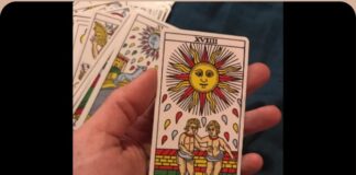 Cbd Tarot De Marseille Review