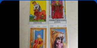 Tarot of White Cats Review