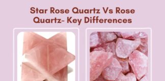 Star Rose Quartz Vs Rose Quartz